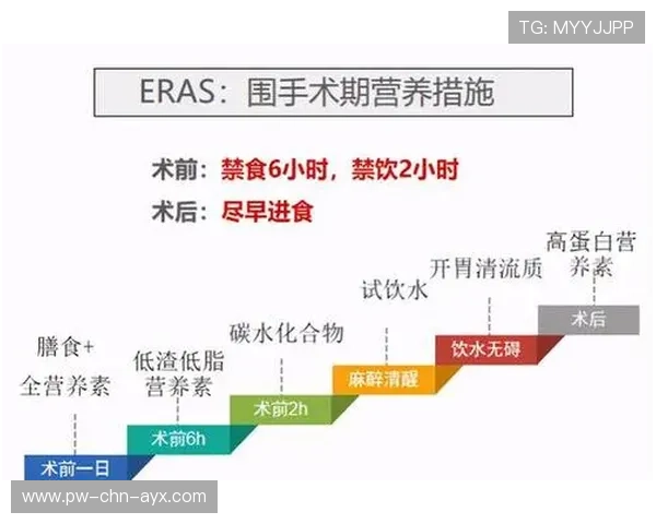 琜员如何通过营养周期化管理体能，营养期标准